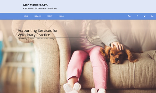 CPA Business Client